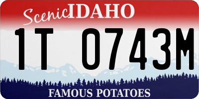 ID license plate 1T0743M