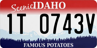 ID license plate 1T0743V