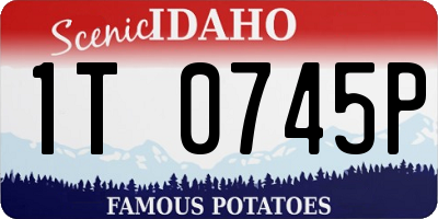 ID license plate 1T0745P