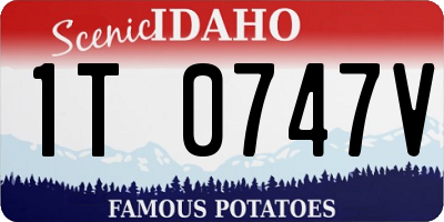 ID license plate 1T0747V