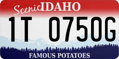 ID license plate 1T0750G