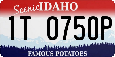 ID license plate 1T0750P