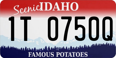 ID license plate 1T0750Q