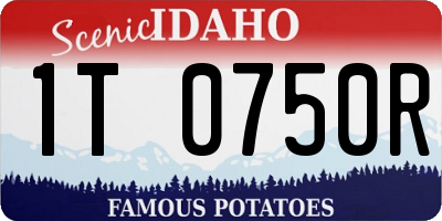 ID license plate 1T0750R