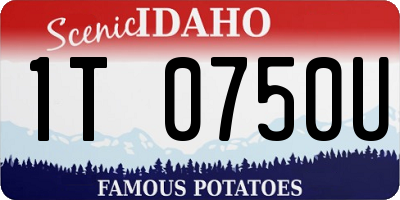 ID license plate 1T0750U