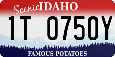 ID license plate 1T0750Y