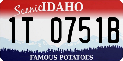 ID license plate 1T0751B