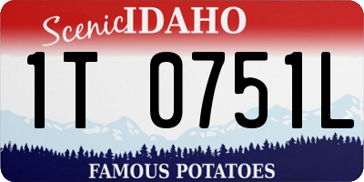 ID license plate 1T0751L
