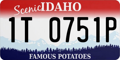 ID license plate 1T0751P