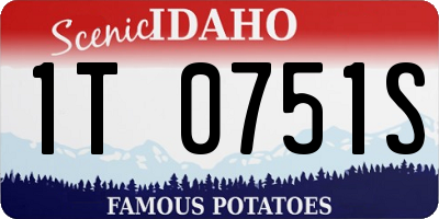 ID license plate 1T0751S
