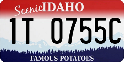 ID license plate 1T0755C