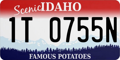 ID license plate 1T0755N