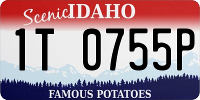 ID license plate 1T0755P