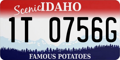 ID license plate 1T0756G