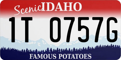 ID license plate 1T0757G