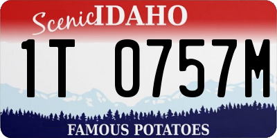 ID license plate 1T0757M