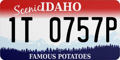 ID license plate 1T0757P
