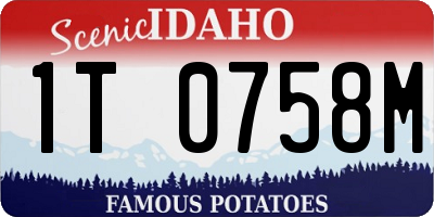 ID license plate 1T0758M