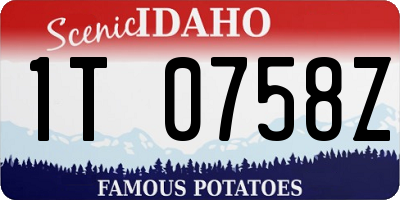ID license plate 1T0758Z