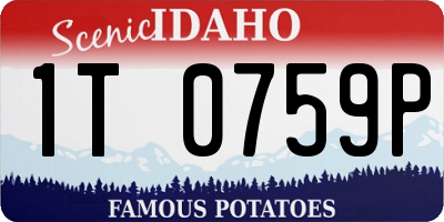 ID license plate 1T0759P