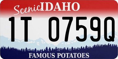 ID license plate 1T0759Q