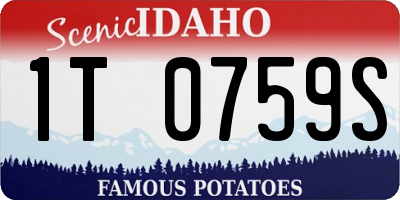 ID license plate 1T0759S