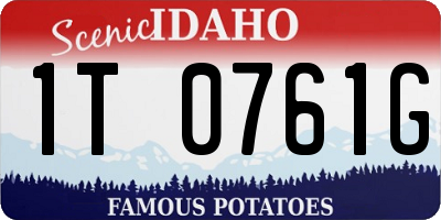 ID license plate 1T0761G