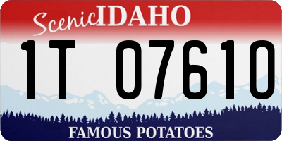 ID license plate 1T0761O
