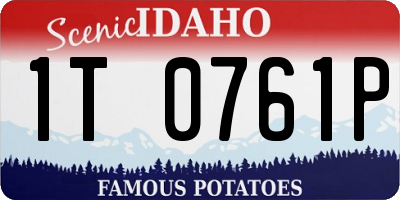 ID license plate 1T0761P