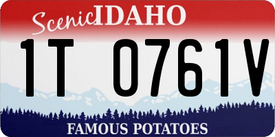 ID license plate 1T0761V