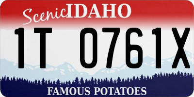 ID license plate 1T0761X