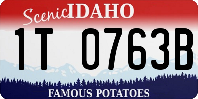 ID license plate 1T0763B