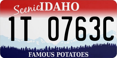ID license plate 1T0763C