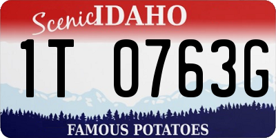 ID license plate 1T0763G