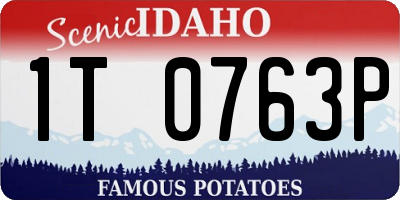ID license plate 1T0763P