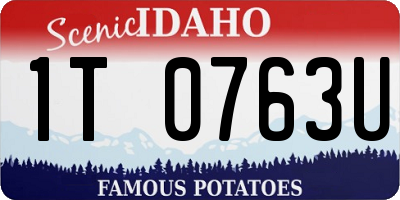 ID license plate 1T0763U