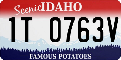 ID license plate 1T0763V