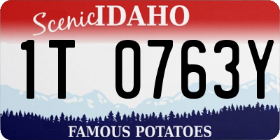 ID license plate 1T0763Y
