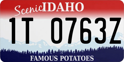 ID license plate 1T0763Z