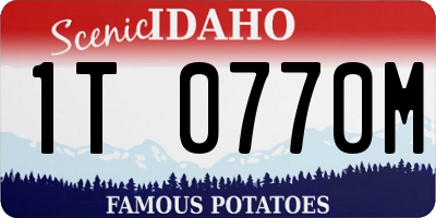 ID license plate 1T0770M