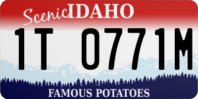 ID license plate 1T0771M