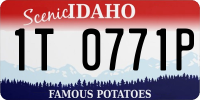 ID license plate 1T0771P