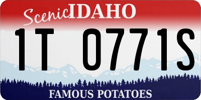 ID license plate 1T0771S