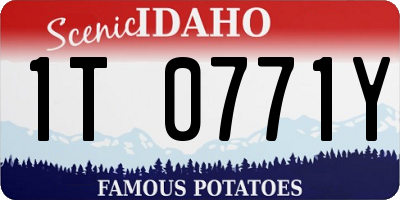 ID license plate 1T0771Y