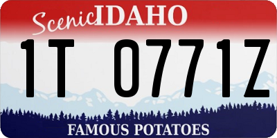 ID license plate 1T0771Z