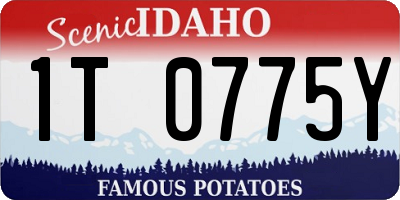 ID license plate 1T0775Y