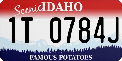 ID license plate 1T0784J
