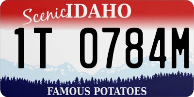 ID license plate 1T0784M