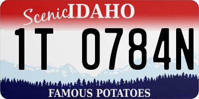 ID license plate 1T0784N