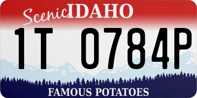 ID license plate 1T0784P
